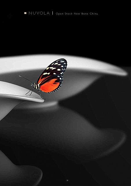 Σερβίτσιο πιάτων-φαγητού εργοστασίου Fade