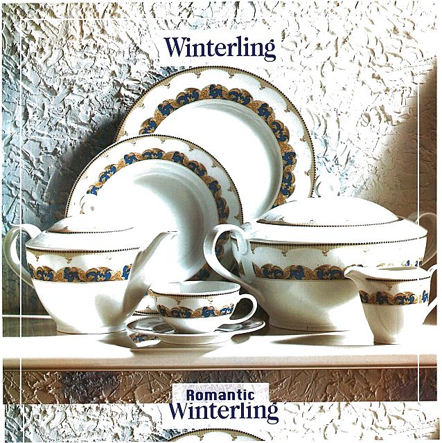 Σερβίτσιο πιάτων-φαγητού εργοστασίου Winterling
